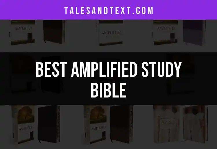 11 Outstanding Amplified Study Bible Picks for Every Reader