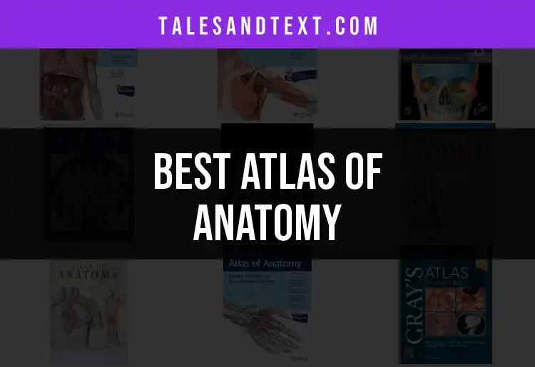 13 Must-Have Atlas of Anatomy Picks to Enhance Learning