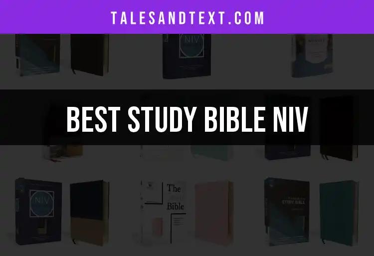 12 Study Bible NIV Gems You Need to Discover